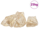 vidaXL Kerti Kövek pezsgőszín 12 cm Üveg