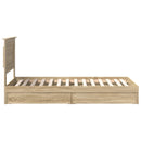 vidaXL Tárolós Ágy fejtámlával Sonoma tölgy 100 x 200 cm Faanyag