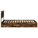 vidaXL Tárolós Ágy fejtámlával Füstölt tölgy 100 x 200 cm Faanyag