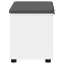 vidaXL Előtér pad párnával Fehér 60 x 38 x 46 cm Műanyag Fa és Szövet