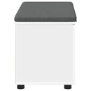 vidaXL Előtér pad párnával Fehér 80 x 38 x 46 cm Műanyag Fa és Szövet