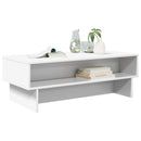 vidaXL Dohányzóasztal Fehér 100 x 46 x 35 cm Faanyag
