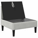 vidaXL Középső Sofa tárolóval Világosszürke Bársony