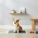 vidaXL Háziállat Képző Párna Egyszínű 50 pcs 90 x 60 cm