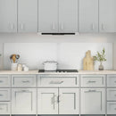 vidaXL Konyhai splashback 2 pcs Átlátszó 100 x 50 cm edzett üveg