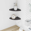 vidaXL Lebegő polc polcokkal tárolóval 2 pcs Fekete 18 x 18 x 2 cm