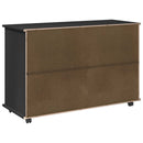 vidaXL Görgős szekrény Fekete 100 x 39 x 65,5 cm Tömör fenyőfa