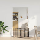 vidaXL Kutya Kapu 2 pcs Fekete 80 x 60 cm Horganyzott acél