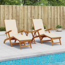 vidaXL Függőágy és összecsukható napozóágy 2 pcs 55 x 146 x 91 cm