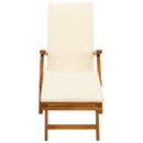 vidaXL Függőágy és összecsukható napozóágy 2 pcs 55 x 146 x 91 cm