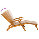 vidaXL Függőágy és összecsukható napozóágy 2 pcs 55 x 146 x 91 cm