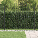 vidaXL Tüskés kerítés ASTEN 200 x 200 cm Porszórt acél Fekete