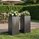 vidaXL Kerti cserép 2 db Fekete 20 x 20 x 40 cm Hidegen hengerelt acél
