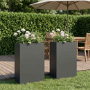 vidaXL Kerti cserép 2 db Antracitszürke 40 x 20 x 75 cm
