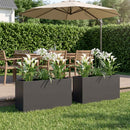 vidaXL Kerti cserép 2 db Fekete 100 x 30 x 50 cm