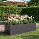 vidaXL Kerti cserép Fekete 200 x 80 x 60 cm Hidegen hengerelt acél