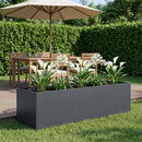 vidaXL Kerti cserép Antracitszürke 200 x 80 x 60 cm