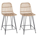 vidaXL Bárszék 2 pcs Természetes 44 x 54 x 96 cm Rattan és acél