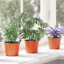 vidaXL Kerek Virágcserép 50 pcs Terrakotta Ø 10 x 8 cm Műanyag