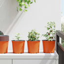 vidaXL Virág Cserép 200 pcs Terrakotta Ø 15 x 13 cm Műanyag