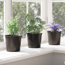 vidaXL Virág Cserép 50 pcs Fekete Ø 15 x 13 cm Műanyag