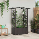 vidaXL Magasított Ágy Trellis-szel és Tetővel Barna 125 x 40 x 138 cm