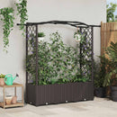 vidaXL Magasított Ágy Trellis-szel és Tetővel Barna 164 x 40 x 138 cm