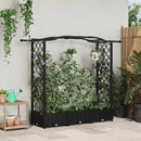 vidaXL Magasított Ágy Trellis-szel és Tetővel Fekete 169 x 40 x 123 cm