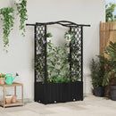 vidaXL Magasított Ágy Trellis-szel és Tetővel Fekete 125 x 40 x 138 cm