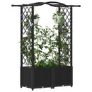 vidaXL Magasított Ágy Trellis-szel és Tetővel Fekete 125 x 40 x 138 cm