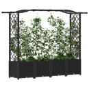 vidaXL Magasított Ágy Trellis-szel és Tetővel Fekete 204 x 40 x 138 cm