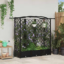 vidaXL Magasított Ágy Trellis-szel és Tetővel Fekete 163 x 40 x 123 cm