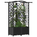 vidaXL Magasított Ágy Trellis-szel és Tetővel Fekete 122 x 40 x 138 cm