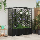 vidaXL Magasított Ágy Trellis-szel és Tetővel Fekete 163 x 40 x 138 cm