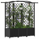 vidaXL Magasított Ágy Trellis-szel és Tetővel Fekete 163 x 40 x 138 cm