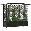 vidaXL Magasított Ágy Trellis-szel és Tetővel Fekete 204 x 40 x 138 cm