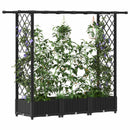 vidaXL Magasított Ágy Trellis-szel és Tetővel Fekete 164 x 40 x 121 cm