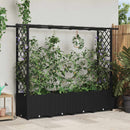 vidaXL Magasított Ágy Trellis-szel és Tetővel Fekete 203 x 40 x 136 cm