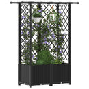 vidaXL Magasított Ágy Trellis-szel és Tetővel Fekete 124 x 40 x 136 cm