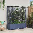 vidaXL Magasított Ágy Trellis-szel és Tetővel Szürke 163 x 40 x 138 cm