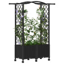 vidaXL Magasított Ágy Trellis-szel és Tetővel Fekete 125 x 40 x 144 cm