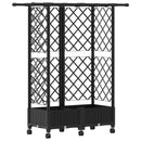 vidaXL Magasított Ágy Trellis-szel és Tetővel Fekete 124 x 40 x 127 cm