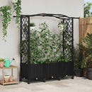 vidaXL Magasított Ágy Trellis-szel és Tetővel Fekete 164 x 40 x 144 cm