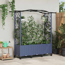 vidaXL Magasított Ágy Trellis-szel és Tetővel Szürke 164 x 40 x 144 cm