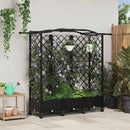 vidaXL Magasított Ágy Trellis-szel és Tetővel Fekete 163 x 40 x 129 cm