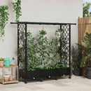 vidaXL Magasított Ágy Trellis-szel és Tetővel Fekete 164 x 40 x 127 cm