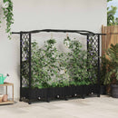 vidaXL Magasított Ágy Trellis-szel és Tetővel Fekete 207 x 40 x 129 cm