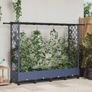 vidaXL Magasított Ágy Trellis-szel és Tetővel Szürke 203 x 40 x 127 cm