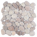vidaXL Kavics csempe Beige és világos rózsaszín 30 x 30 cm