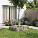 vidaXL Gabion emelt ágy Ezüst